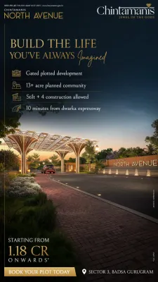 Chintamanis North Avenue Sector 3 Badsa – DDJAY Residential Plots — photo 2