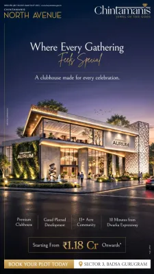 Chintamanis North Avenue Sector 3 Badsa – DDJAY Residential Plots — photo 3